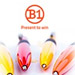 leccepen B1